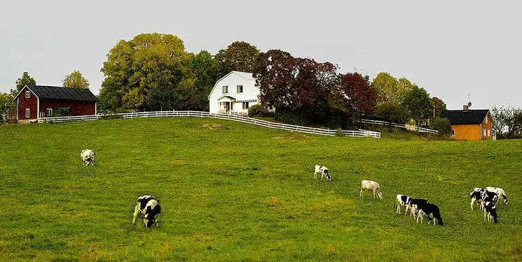 Minimalist Interior Design Ideas from the North: Embracing Scandinavian Simplicity