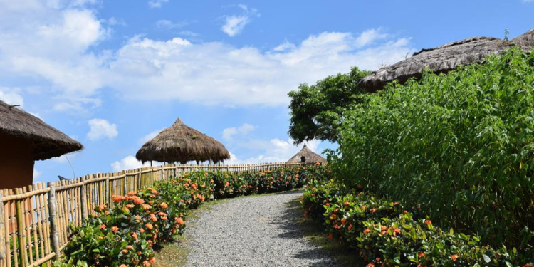 Kitchen Makeover Madness: Transforming Your Space into a Culinary Haven