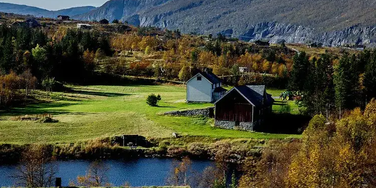 Creating a Serene Retreat: Zen-inspired Home Decor Ideas